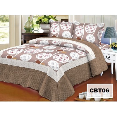 1+1 GRATIS Cuvertura DP06